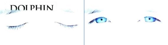 Second Teaser Trailer 17,3 MB mov